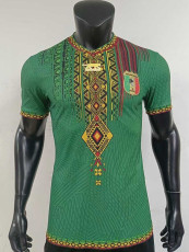 25/26 Mali Special Edition Green Player Version Soccer Jersey