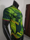 25/26 Mali Away Player Version Soccer Jersey