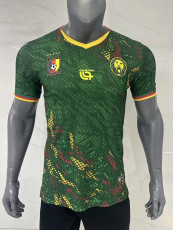 26/27 Cameroon Home Player Version Soccer Jersey