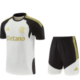 26/27 Flamengo khaki Training Shorts Suit