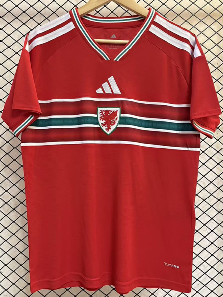 26/27 Wales Home Fans Soccer Jersey