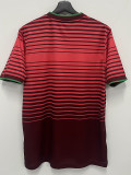 2014 Portugal Home Retro Soccer Jersey