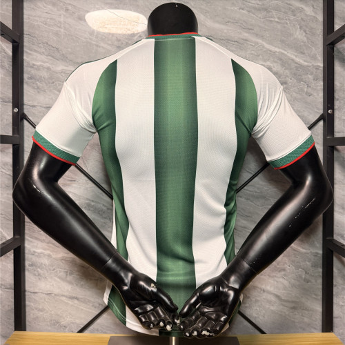 Mexico 2026 Special Edition Men Player Jersey