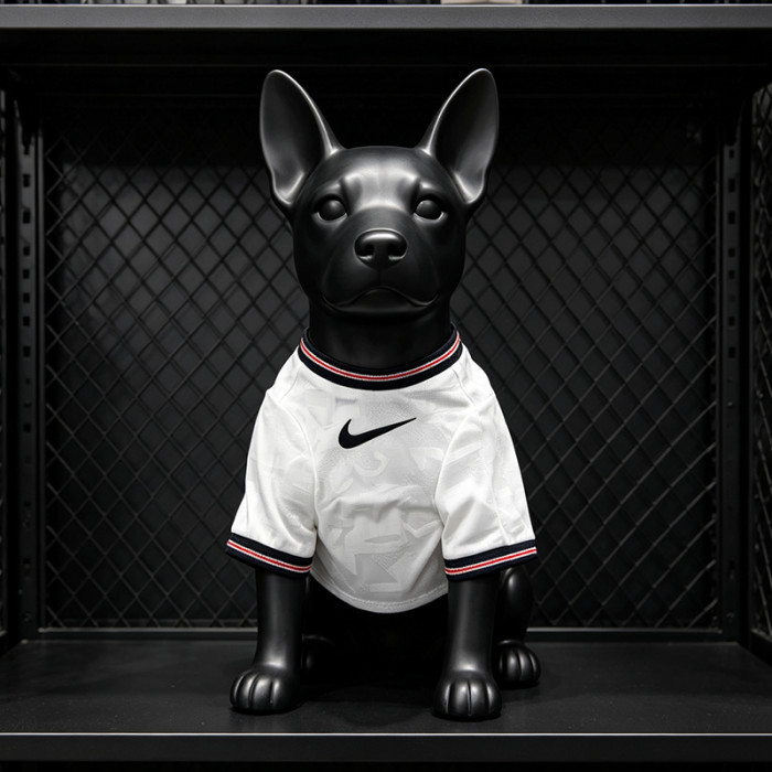 England 2026 World Cup Home Dog's Jersey