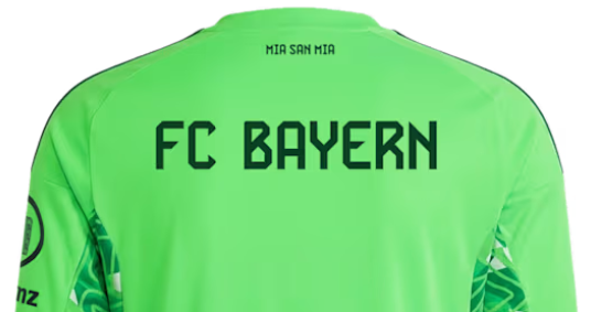 Bayern Munich Goalkeeper Men Jersey Suit 26/27