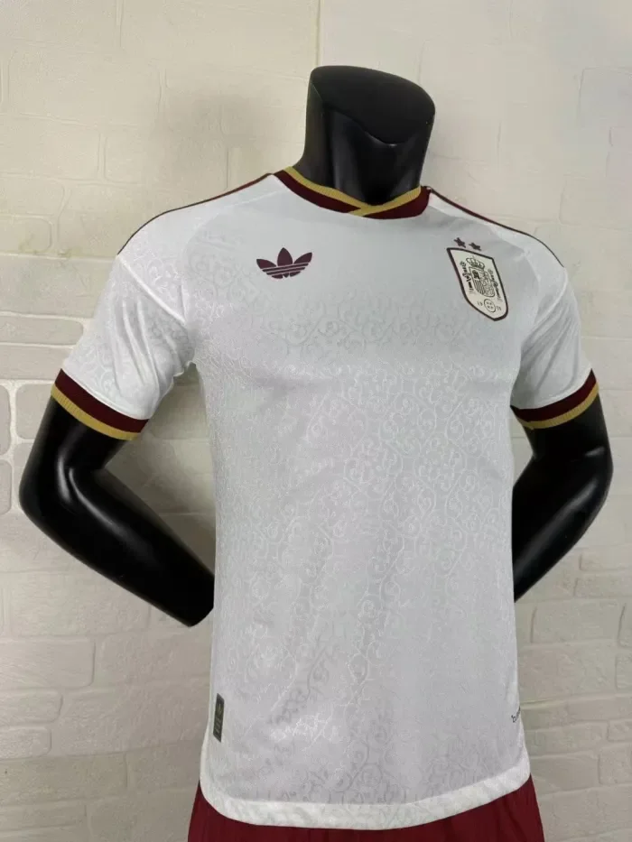 Spain 2026 World Cup Away Player Man Jersey(2 stars)
