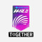 WSL2 + TOGETHER