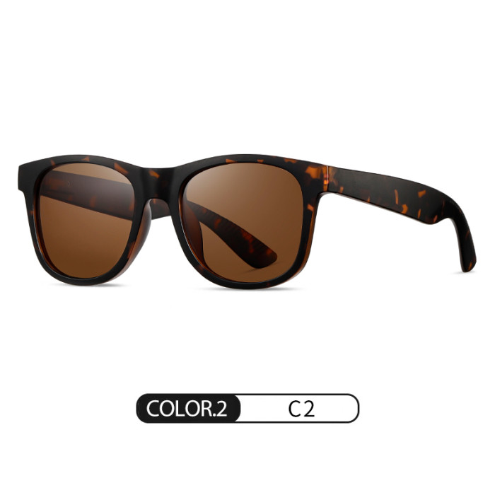 Cusrom Logo Wayfarer Polarized Sports Sunglasses 30015