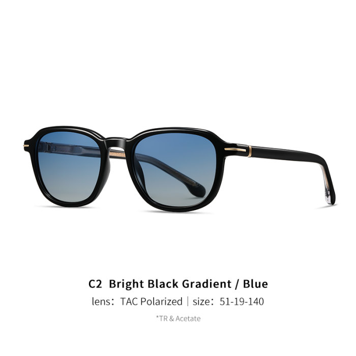 Retro TR & Acetate Polarized Sunglasses 30038