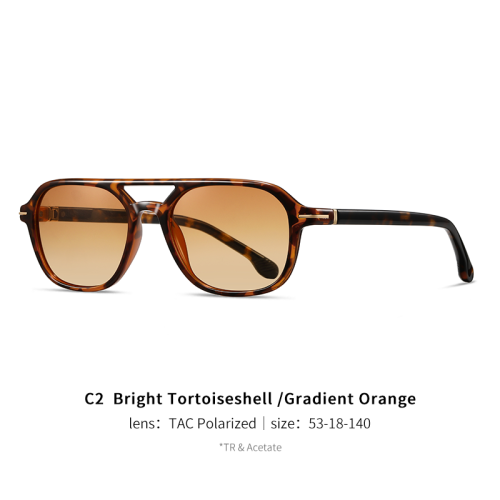 Retro Aviator TR & Acetate Flat Polarized Sunglasses 30040
