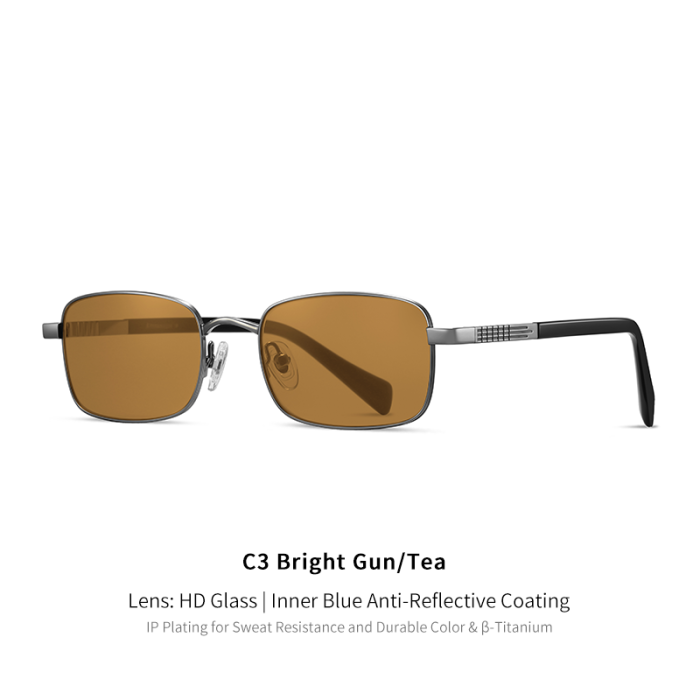 Titanium Anti-Reflective Rectangle Sunglasses 30047
