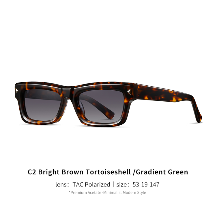 Small Rectangle Acetate Sunglasses 30058