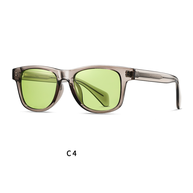 Vintage Wayfarer Customization Polarized Sunglasses 30116