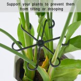 Plant Stem Support,4 Sizes Set,Plastic Stems Holder for Indoor Plants, Reusable Stem stabilizer,Keeps Potted Houseplants Growing Straight