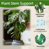 Plant Stem Support,4 Sizes Set,Plastic Stems Holder for Indoor Plants, Reusable Stem stabilizer,Keeps Potted Houseplants Growing Straight