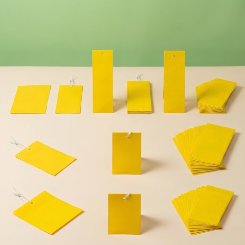 Dual-Sided Yellow Sticky Traps for Flying Plant Insect Such as Fungus Gnats, Whiteflies, Aphids, Leafminers,Thrips