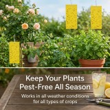 Dual-Sided Yellow Sticky Traps for Flying Plant Insect Such as Fungus Gnats, Whiteflies, Aphids, Leafminers,Thrips