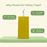 Dual-Sided Yellow Sticky Traps for Flying Plant Insect Such as Fungus Gnats, Whiteflies, Aphids, Leafminers,Thrips