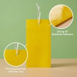 Dual-Sided Yellow Sticky Traps for Flying Plant Insect Such as Fungus Gnats, Whiteflies, Aphids, Leafminers,Thrips
