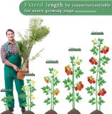 Adjustable length plant support stakes, suitable for indoor and outdoor use, garden stakes, suitable for potted tomatoes, amaryllis, vegetables (green)