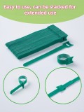 Green, reusandable, pack of 100, adjustable anti-slip nylon plant ties with hook--loop fasteners - perfect for supporting climbing plants and tying Christmas wreaths
