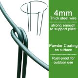Plant support stakes, peony cages and holders, garden plant support cages, larmetal ge plant support rings, perfect for indoor and outdoor plants, peonies, roses, and climbing plants