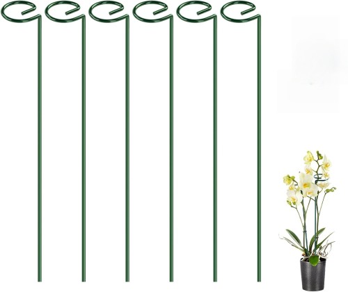 Plant support rods and stakes with support sticks, suitable for peonies, tomato seedlings, marigolds, amaryllis, young plants, and calendulas.