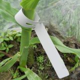 Tree Tags, Plastic Plant Labels, Hangable Tree Markers, Labeling and Identifying Garden Plants