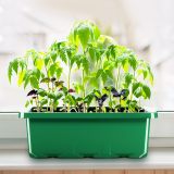 Seedling tray with humidity dome, seed starting tray plant seedling kit with base, mini greenhouse germination kit for seed planting and sprouting