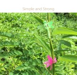 Dragonfly plant clips, orchiclipsd and vine support