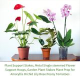 10Pcs Plant Support Stakes with 15 Pcs Plant Clips, Plant Sticks for Indoor and Outdoor Plants, Orchid Clips and Stakes,16inch Tall Bendable Single Stem Flower Stakes Bendable (10, Brown-16inch)