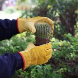 Leather work gloves with elastic grip, durable cowhide, gardening gloves suitable for wood cutting, construction, driving, and gardening. Unisex design with elastic grip, key thumb, elastic wrist, and breathable unlined interior. Comfortable for yard work, chopping wood, landscaping, and farming.