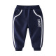 Boys' Royal Blue Autumn Pants