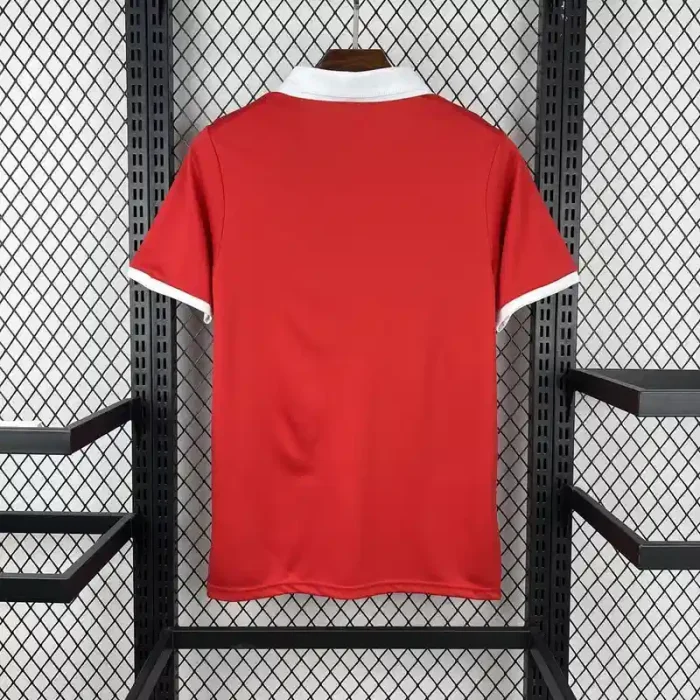2026 Wales 150th Anniversary Jersey  - Fan Version