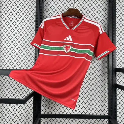 Wales 2026 World Cup Home Jersey - Fan Version