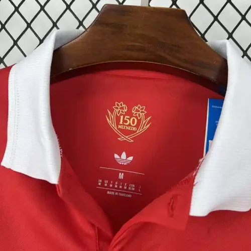 Long Sleeves 2026 Wales 150th Anniversary Jersey  - Fan Version