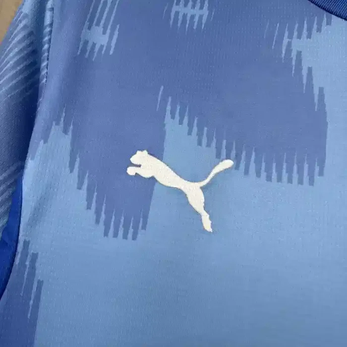 Austria 2026 World Cup Away Jersey - Fan Version