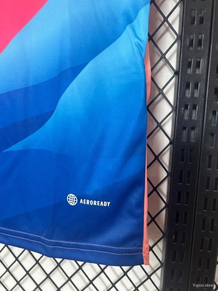 Japan 2026 Special Edition Jersey - Fan Version