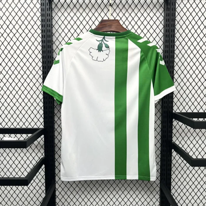Real Betis 25/26 Pre-match training jersey - Fan Version