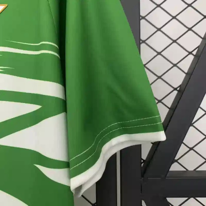 Real Betis 25/26 Special Edition Soccer Jersey - Fan Version