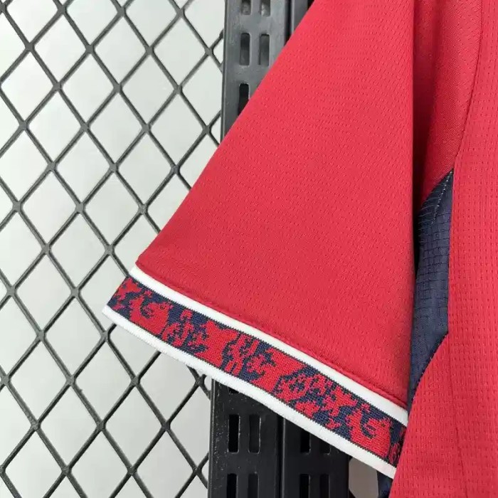 Czech Republic 2026 World Cup Home Jersey - Fan Version