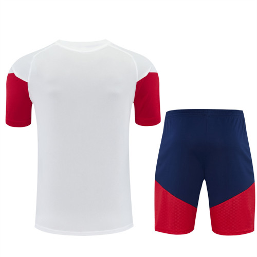 2026 Spain Short Sleeve Training Suit