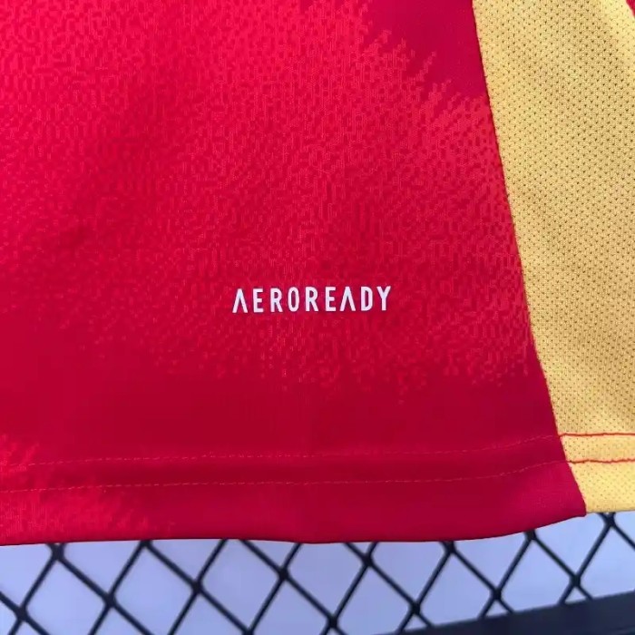 Spain 2024 Home Retro Soccer Jersey - Fan Version