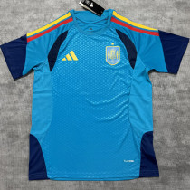 2026/27 Spain Blue Training Jersey