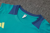 2025 AA Green Vest Training Jersey(A Set)