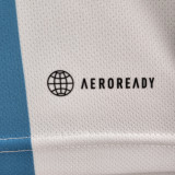 2022/23 Argentina 1:1 Quality Home Fans Jersey (3 Stars 3星)