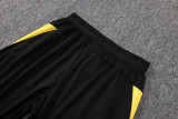 2026/27 BVB Light Gray Sweater Tracksuit