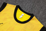 2026 BVB Yellow Vest Training Jersey (A Set)