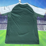 2025/26 Panathinaikos Home Green Fans Jersey  希超 帕纳辛奈科斯