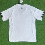2025/26 Fulham Home White Fans Soccer Jersey